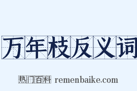 万年枝反义词是什么意思的图片